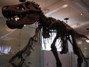 DSCN1153.jpg